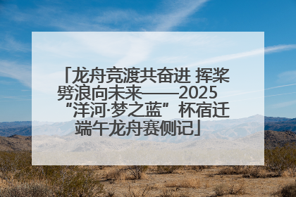 龙舟竞渡共奋进 挥桨劈浪向未来——2025“洋河·梦之蓝”杯宿迁端午龙舟赛侧记