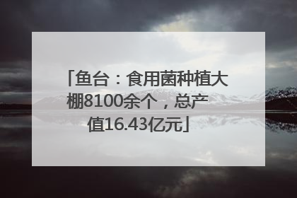 鱼台：食用菌种植大棚8100余个，总产值16.43亿元