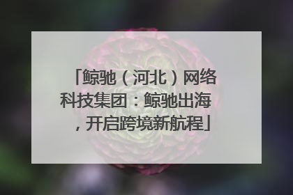鲸驰（河北）网络科技集团：鲸驰出海，开启跨境新航程