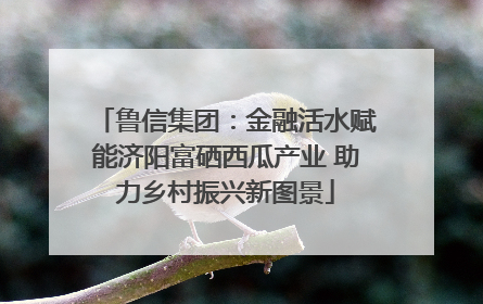 鲁信集团：金融活水赋能济阳富硒西瓜产业 助力乡村振兴新图景