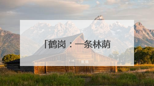 鹤岗：一条林荫大道融合“自然风光＋欧陆风情”成热门打卡地