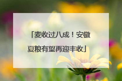 麦收过八成！安徽夏粮有望再迎丰收