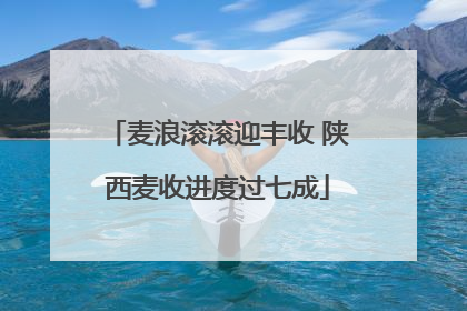 麦浪滚滚迎丰收 陕西麦收进度过七成