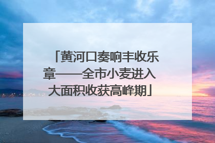 黄河口奏响丰收乐章——全市小麦进入大面积收获高峰期