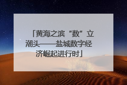 黄海之滨“数”立潮头——盐城数字经济崛起进行时