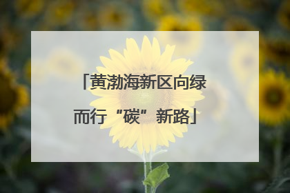 黄渤海新区向绿而行“碳”新路