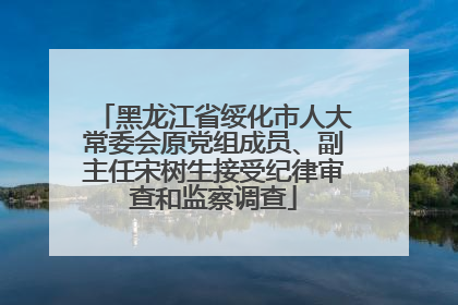 黑龙江省绥化市人大常委会原党组成员、副主任宋树生接受纪律审查和监察调查