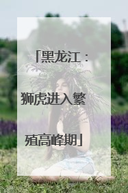 黑龙江：狮虎进入繁殖高峰期