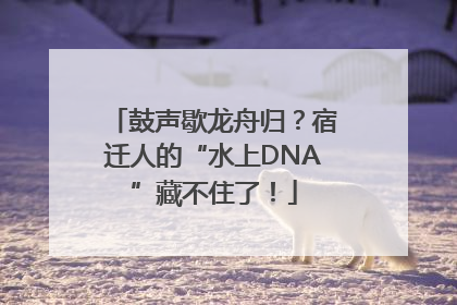 鼓声歇龙舟归？宿迁人的“水上DNA”藏不住了！