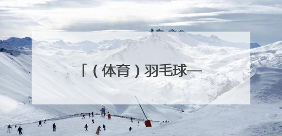 （体育）羽毛球——新加坡公开赛：陆光祖获男单亚军