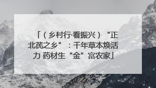 （乡村行·看振兴）“正北芪之乡”：千年草本焕活力 药材生“金”富农家