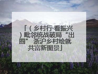 （乡村行·看振兴）毗邻统战破局“出圈” 浙沪乡村绘就共富新图景