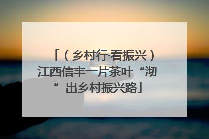 （乡村行·看振兴）江西信丰一片茶叶“沏”出乡村振兴路