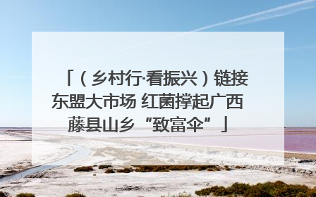 （乡村行·看振兴）链接东盟大市场 红菌撑起广西藤县山乡“致富伞”