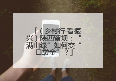 （乡村行·看振兴）陕西留坝：“满山绿”如何变“口袋金”？