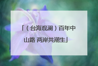 （台海观澜）百年中山路 两岸共潮生