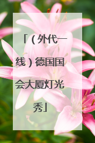 （外代一线）德国国会大厦灯光秀