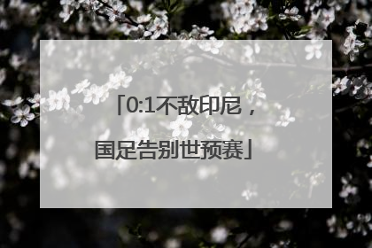 0:1不敌印尼，国足告别世预赛