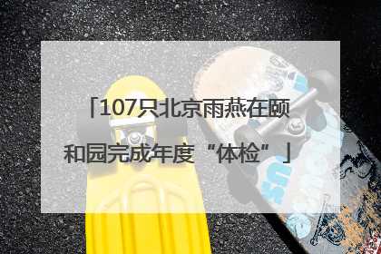 107只北京雨燕在颐和园完成年度“体检”