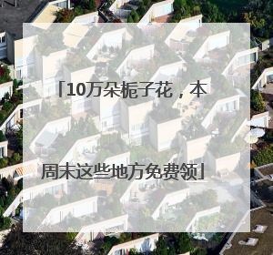 10万朵栀子花，本周末这些地方免费领