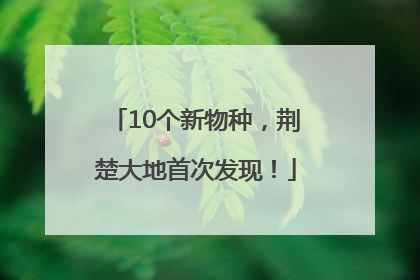 10个新物种，荆楚大地首次发现！
