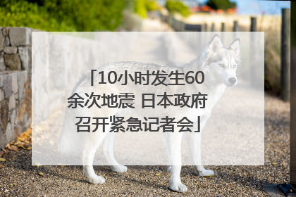 10小时发生60余次地震 日本政府召开紧急记者会