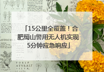15公里全覆盖！合肥蜀山警用无人机实现5分钟应急响应