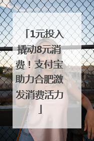 1元投入撬动8元消费！支付宝助力合肥激发消费活力