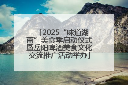 2025“味道湖南”美食季启动仪式暨岳阳啤酒美食文化交流推广活动举办