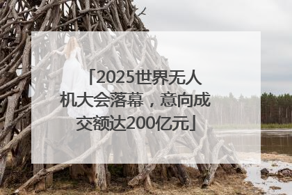 2025世界无人机大会落幕，意向成交额达200亿元
