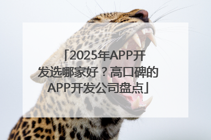 2025年APP开发选哪家好？高口碑的APP开发公司盘点