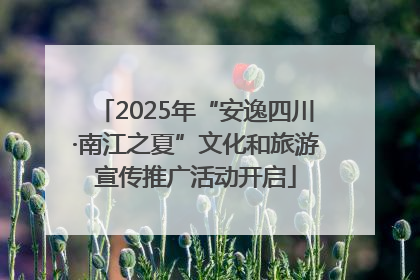 2025年“安逸四川·南江之夏”文化和旅游宣传推广活动开启
