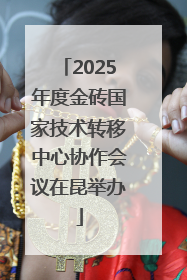 2025年度金砖国家技术转移中心协作会议在昆举办