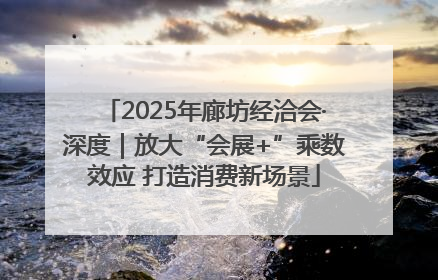 2025年廊坊经洽会·深度｜放大“会展+”乘数效应 打造消费新场景