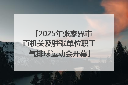 2025年张家界市直机关及驻张单位职工气排球运动会开幕