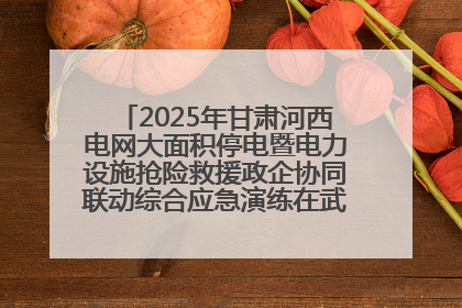 2025年甘肃河西电网大面积停电暨电力设施抢险救援政企协同联动综合应急演练在武威成功举行
