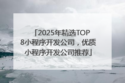 2025年精选TOP8小程序开发公司，优质小程序开发公司推荐