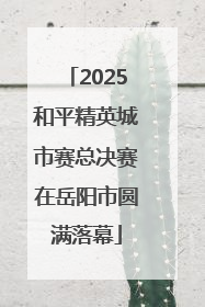 2025和平精英城市赛总决赛在岳阳市圆满落幕
