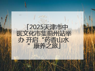 2025天津市中医文化市集蓟州站举办 开启“药香山水”康养之旅