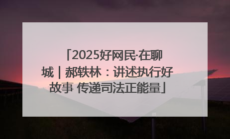 2025好网民·在聊城｜郝轶林：讲述执行好故事 传递司法正能量