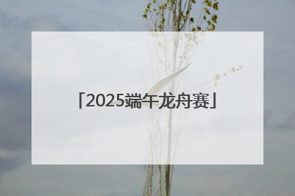 2025端午龙舟赛