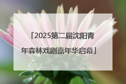 2025第二届沈阳青年森林戏剧嘉年华启幕