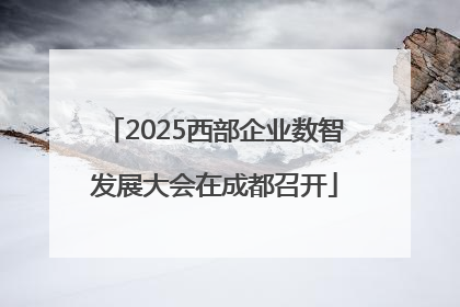 2025西部企业数智发展大会在成都召开