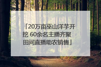 20万亩巫山洋芋开挖 60余名主播齐聚田间直播助农销售