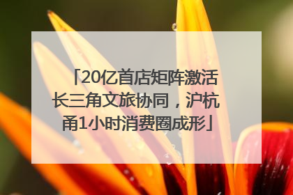 20亿首店矩阵激活长三角文旅协同，沪杭甬1小时消费圈成形