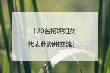 20名柯坪妇女代表赴湖州交流
