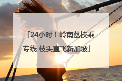 24小时！岭南荔枝乘专线 枝头直飞新加坡