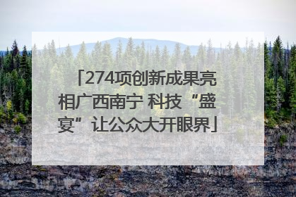 274项创新成果亮相广西南宁 科技“盛宴”让公众大开眼界