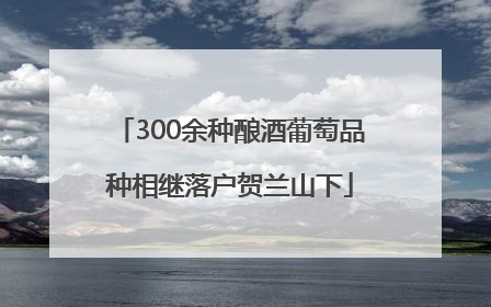 300余种酿酒葡萄品种相继落户贺兰山下
