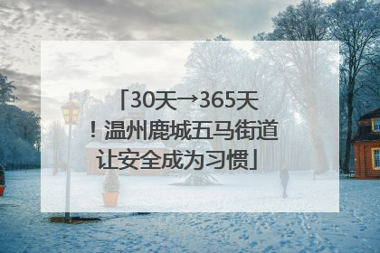 30天→365天！温州鹿城五马街道让安全成为习惯